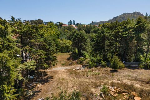 Farm hus i Sintra, Lisbon, Sintra - € 3.500.000 | Ref: CB01-0396 - foto 36