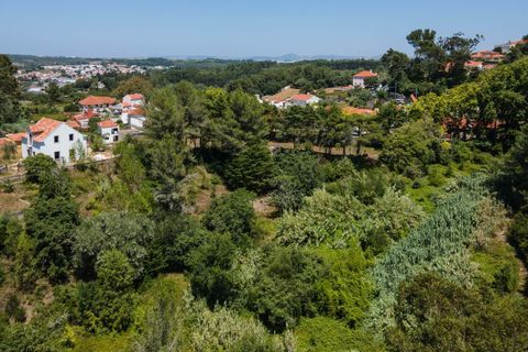 Farm hus i Sintra, Lisbon, Sintra - € 3.500.000 | Ref: CB01-0396 - foto 37