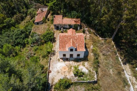 Farm hus i Sintra, Lisbon, Sintra - € 3.500.000 | Ref: CB01-0396 - foto 49