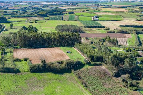 Erhvervsejendom i Peniche, Leiria, Peniche - € 160.000 | Ref: CB01-0429 - foto 30