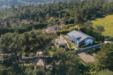 Villa i Sintra, Lisbon, Sintra - € 2.100.000 | Ref: CB01-0476 - foto 24