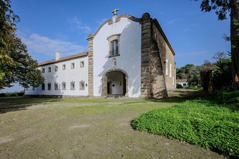 Villa i Chamusca, Santarem, Chamusca - € 3.600.000 | Ref: CB01-0566 - foto 2