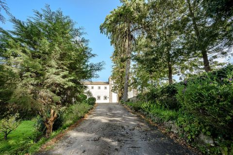 Villa i Chamusca, Santarem, Chamusca - € 3.600.000 | Ref: CB01-0566 - foto 5