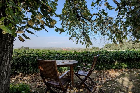 Villa i Chamusca, Santarem, Chamusca - € 3.600.000 | Ref: CB01-0566 - foto 7