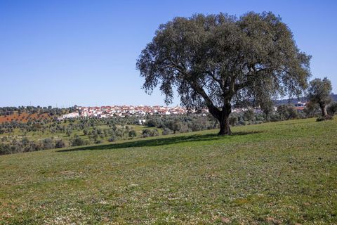 Masia a Alter do Chao, Portalegre, Alter do Chao - € 1.365.000 | Ref: CB01-0617 - foto 2
