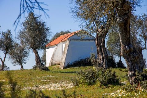 Masia a Alter do Chao, Portalegre, Alter do Chao - € 1.365.000 | Ref: CB01-0617 - foto 4