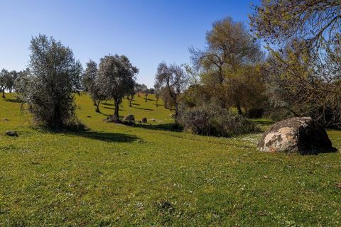 Masia a Alter do Chao, Portalegre, Alter do Chao - € 1.365.000 | Ref: CB01-0617 - foto 5