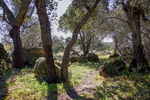 Masia a Alter do Chao, Portalegre, Alter do Chao - € 1.365.000 | Ref: CB01-0617 - foto 8