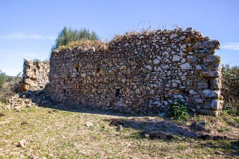 Masia a Alter do Chao, Portalegre, Alter do Chao - € 1.365.000 | Ref: CB01-0617 - foto 9