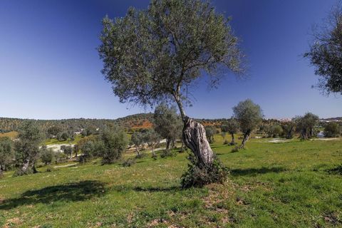 Masia a Alter do Chao, Portalegre, Alter do Chao - € 1.365.000 | Ref: CB01-0617 - foto 11
