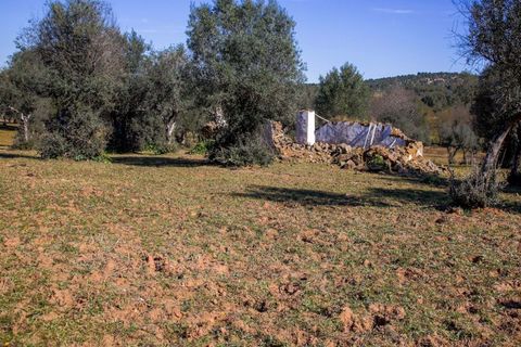 Masia a Alter do Chao, Portalegre, Alter do Chao - € 1.365.000 | Ref: CB01-0617 - foto 14