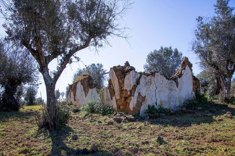 Masia a Alter do Chao, Portalegre, Alter do Chao - € 1.365.000 | Ref: CB01-0617 - foto 15