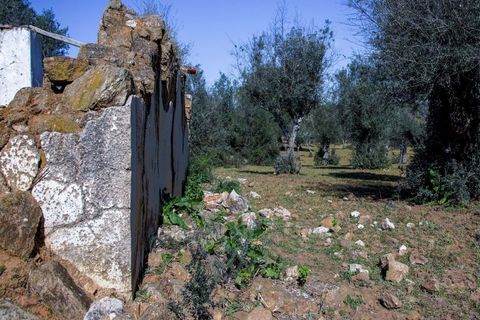 Masia a Alter do Chao, Portalegre, Alter do Chao - € 1.365.000 | Ref: CB01-0617 - foto 16