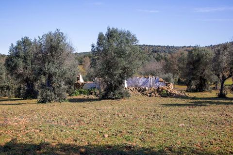 Masia a Alter do Chao, Portalegre, Alter do Chao - € 1.365.000 | Ref: CB01-0617 - foto 18