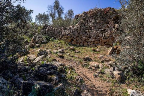 Masia a Alter do Chao, Portalegre, Alter do Chao - € 1.365.000 | Ref: CB01-0617 - foto 24