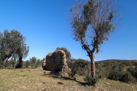 Masia a Alter do Chao, Portalegre, Alter do Chao - € 1.365.000 | Ref: CB01-0617 - foto 25
