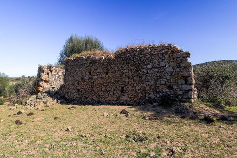 Masia a Alter do Chao, Portalegre, Alter do Chao - € 1.365.000 | Ref: CB01-0617 - foto 26