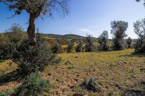 Masia a Alter do Chao, Portalegre, Alter do Chao - € 1.365.000 | Ref: CB01-0617 - foto 28