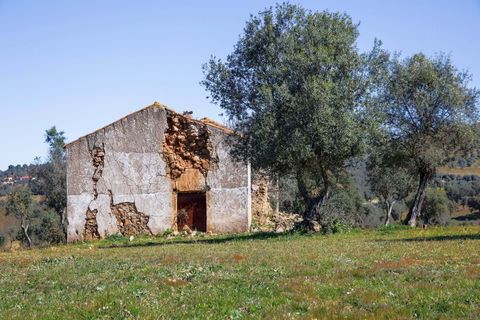 Masia a Alter do Chao, Portalegre, Alter do Chao - € 1.365.000 | Ref: CB01-0617 - foto 29