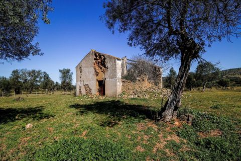 Masia a Alter do Chao, Portalegre, Alter do Chao - € 1.365.000 | Ref: CB01-0617 - foto 30