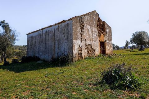 Masia a Alter do Chao, Portalegre, Alter do Chao - € 1.365.000 | Ref: CB01-0617 - foto 31