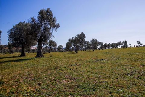 Masia a Alter do Chao, Portalegre, Alter do Chao - € 1.365.000 | Ref: CB01-0617 - foto 32