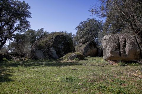 Masia a Alter do Chao, Portalegre, Alter do Chao - € 1.365.000 | Ref: CB01-0617 - foto 33