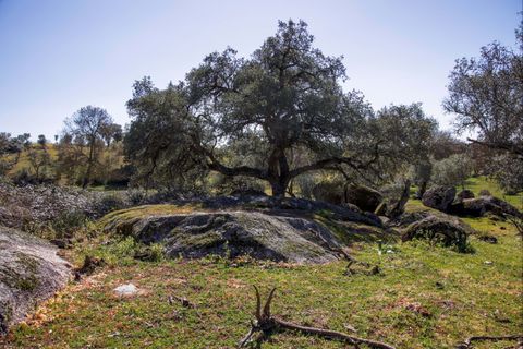 Masia a Alter do Chao, Portalegre, Alter do Chao - € 1.365.000 | Ref: CB01-0617 - foto 36
