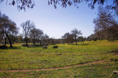 Masia a Alter do Chao, Portalegre, Alter do Chao - € 1.365.000 | Ref: CB01-0617 - foto 37