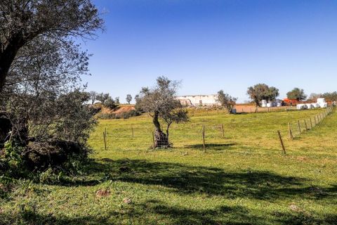 Masia a Alter do Chao, Portalegre, Alter do Chao - € 1.365.000 | Ref: CB01-0617 - foto 38