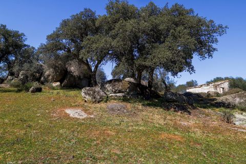 Masia a Alter do Chao, Portalegre, Alter do Chao - € 1.365.000 | Ref: CB01-0617 - foto 39