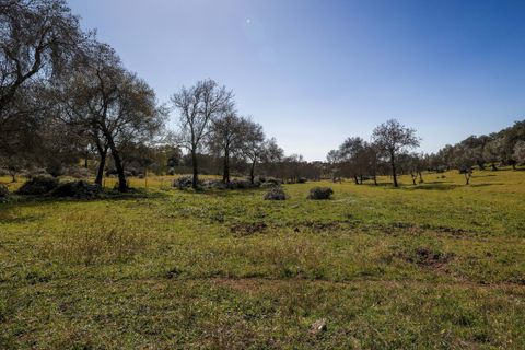 Masia a Alter do Chao, Portalegre, Alter do Chao - € 1.365.000 | Ref: CB01-0617 - foto 40