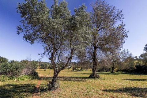 Masia a Alter do Chao, Portalegre, Alter do Chao - € 1.365.000 | Ref: CB01-0617 - foto 41