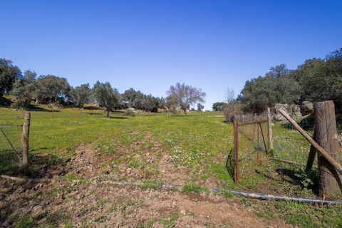 Masia a Alter do Chao, Portalegre, Alter do Chao - € 1.365.000 | Ref: CB01-0617 - foto 42
