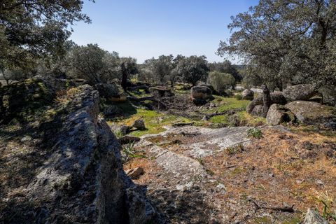 Masia a Alter do Chao, Portalegre, Alter do Chao - € 1.365.000 | Ref: CB01-0617 - foto 43