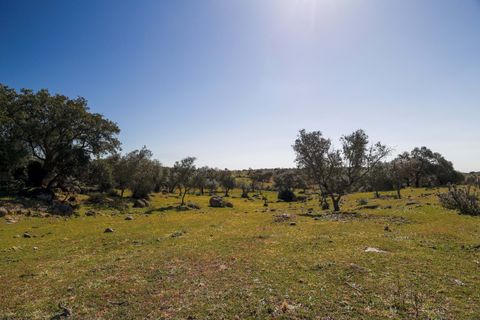 Masia a Alter do Chao, Portalegre, Alter do Chao - € 1.365.000 | Ref: CB01-0617 - foto 44