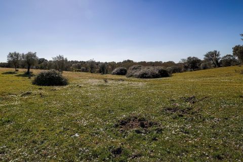 Masia a Alter do Chao, Portalegre, Alter do Chao - € 1.365.000 | Ref: CB01-0617 - foto 45
