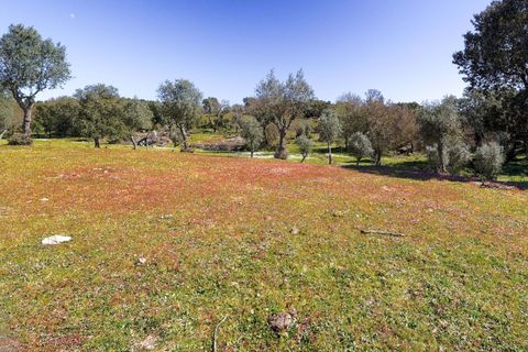 Masia a Alter do Chao, Portalegre, Alter do Chao - € 1.365.000 | Ref: CB01-0617 - foto 46