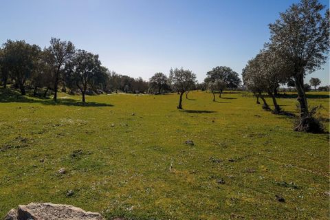 Masia a Alter do Chao, Portalegre, Alter do Chao - € 1.365.000 | Ref: CB01-0617 - foto 47
