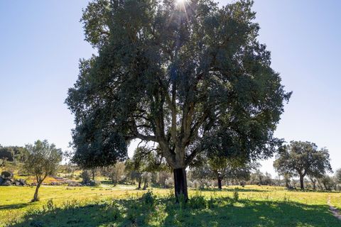 Masia a Alter do Chao, Portalegre, Alter do Chao - € 1.365.000 | Ref: CB01-0617 - foto 49