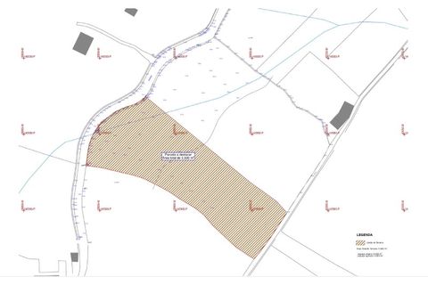 Terra a Moimenta da Beira, Viseu, Moimenta da Beira - € 65.000 | Ref: 0144 - foto 4