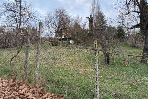 Terra a Asti, Asti, Asti - € 150.000 | Ref: 1621 - foto 31