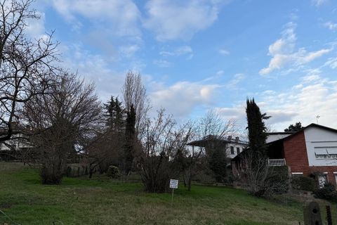 Terra a Asti, Asti, Asti - € 150.000 | Ref: 1621 - foto 33