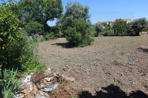 Villa i Tabua, Coimbra, Tabua - € 64.900 | Ref: 4000 MR - foto 6