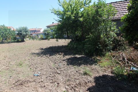 Villa i Tabua, Coimbra, Tabua - € 64.900 | Ref: 4000 MR - foto 7