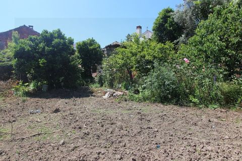 Villa i Tabua, Coimbra, Tabua - € 64.900 | Ref: 4000 MR - foto 8