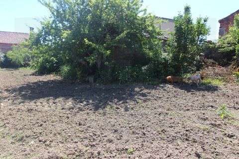 Villa i Tabua, Coimbra, Tabua - € 64.900 | Ref: 4000 MR - foto 9