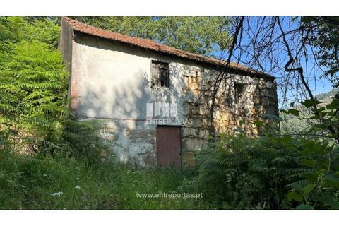 Tomt i Cinfaes, Viseu, Cinfaes - € 65 000 | Ref: MC09800 - foto 2