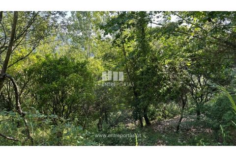 Tomt i Cinfaes, Viseu, Cinfaes - € 65 000 | Ref: MC09800 - foto 3
