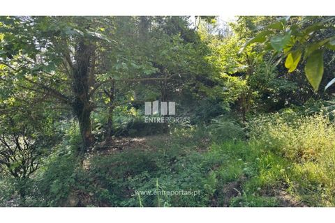 Tomt i Cinfaes, Viseu, Cinfaes - € 65 000 | Ref: MC09800 - foto 5